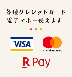 各種クレジットカード・電子マネー使えます！VISA、mastercard、楽天Pay